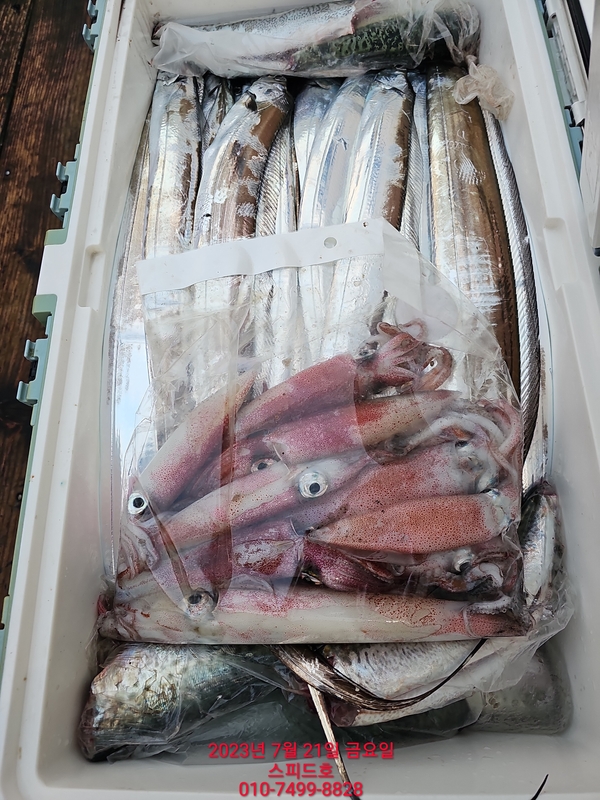 고흥 스피드호의 조황일지 이미지 - 5