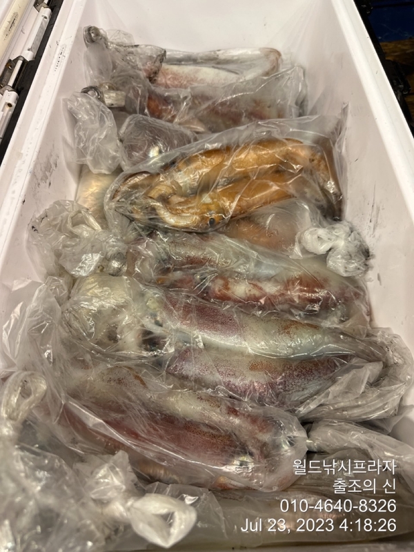 고흥 스피드호의 조황일지 이미지 - 8