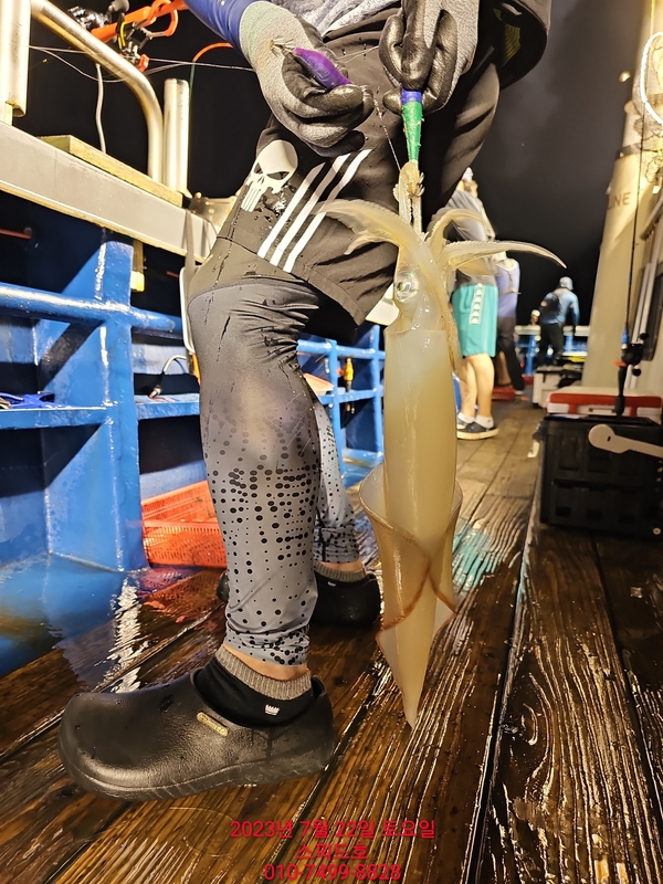 고흥 스피드호의 조황일지 이미지 - 0