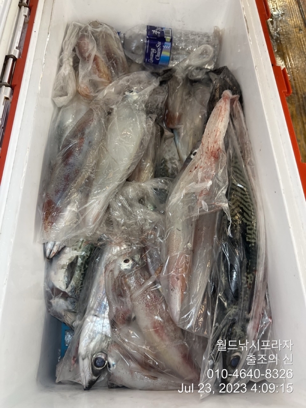 고흥 스피드호의 조황일지 이미지 - 7