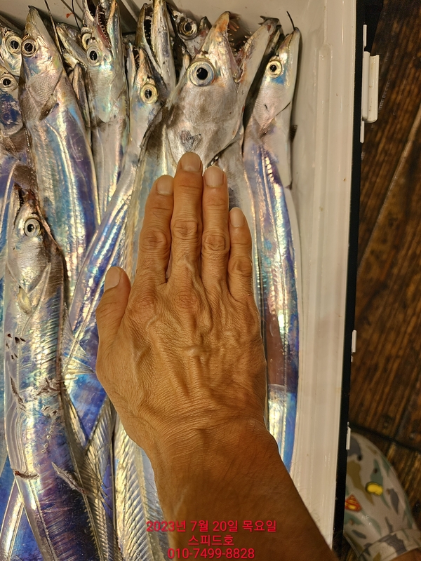 고흥 스피드호의 조황일지 이미지 - 3