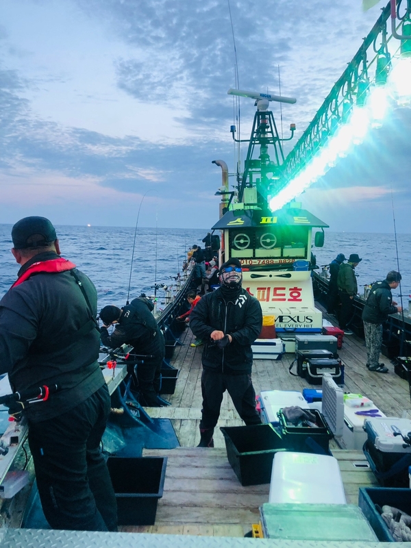 해당 선사를 대표하는 이미지