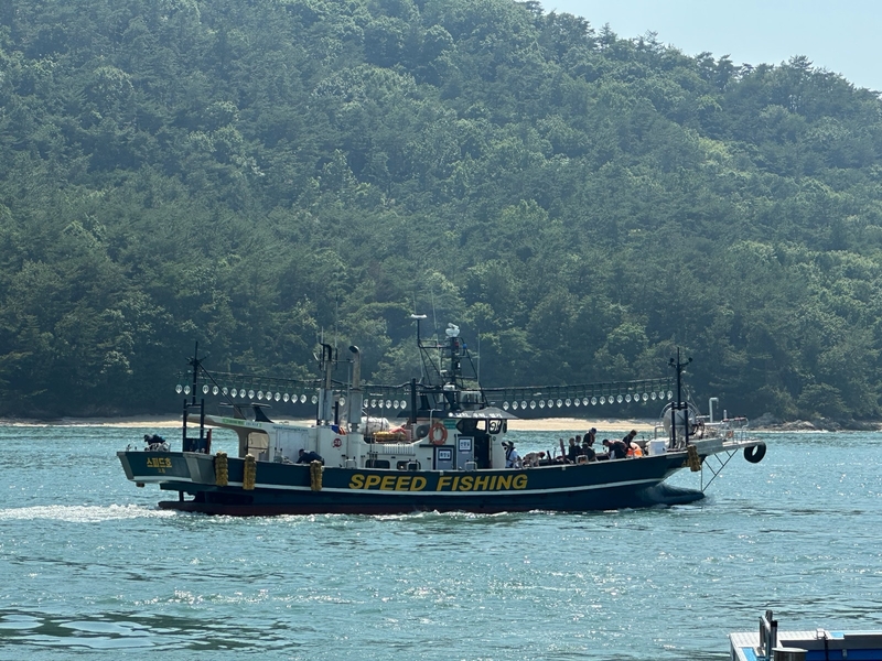 해당 선사를 대표하는 이미지