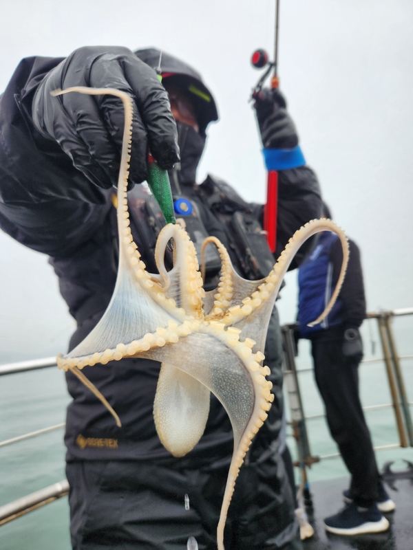 해당 선사를 대표하는 이미지