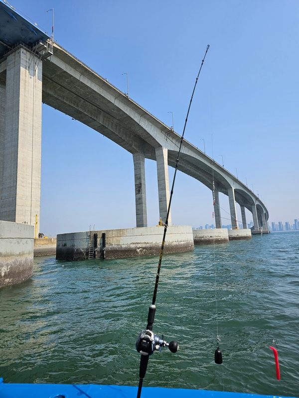 해당 선사를 대표하는 이미지