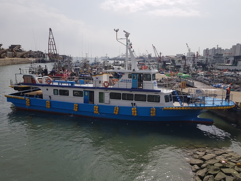 해당 선사를 대표하는 이미지