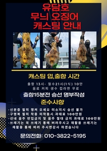(유담호)봄무늬오징어 캐스팅 출항 합니다  선상낚시로 잡은 물고기 조황