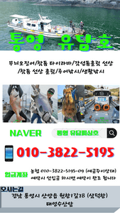 (유담호)무늬오징어 캐스팅 출항  안내 선상낚시로 잡은 물고기 조황