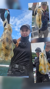 (유담호)15일 무늬오징어 캐스팅  조황 선상낚시로 잡은 물고기 조황