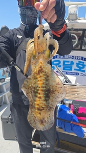 (유담호)10일  무늬캐스팅  조황 선상낚시로 잡은 물고기 조황