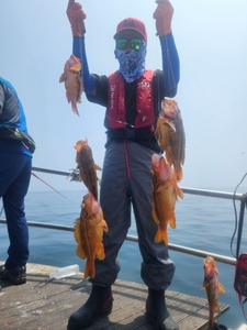 황열기 대박! 선상낚시로 잡은 물고기 조황