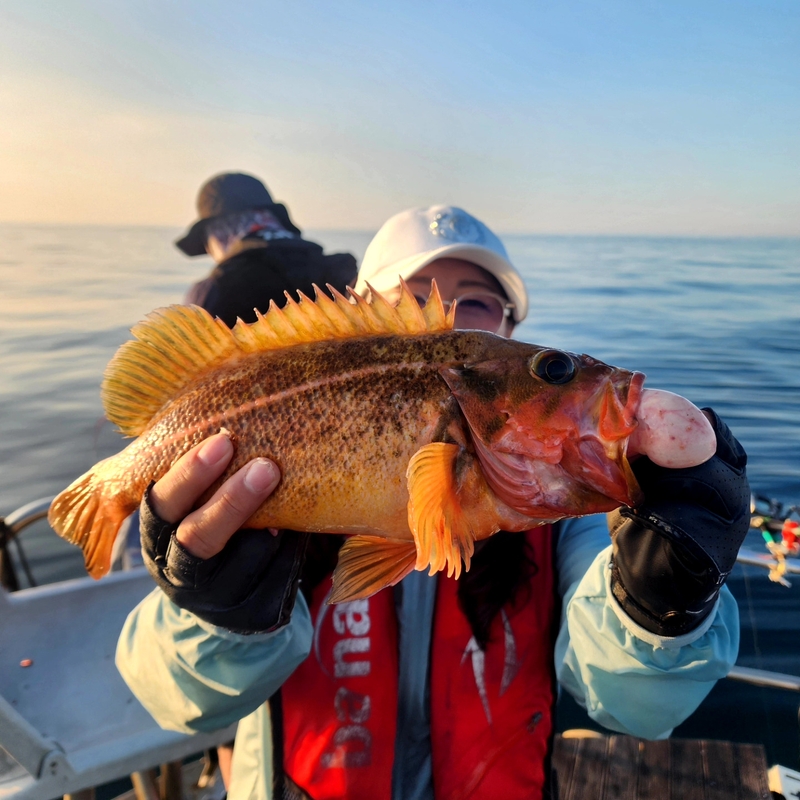 황금마차호 루어전용선의 조황일지 이미지 - 6