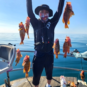 황열기 본시즌 시작! 선상낚시로 잡은 물고기 조황