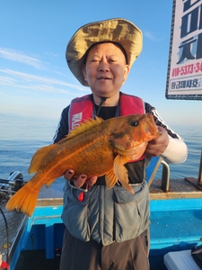 1호 상품권! 선상낚시로 잡은 물고기 조황