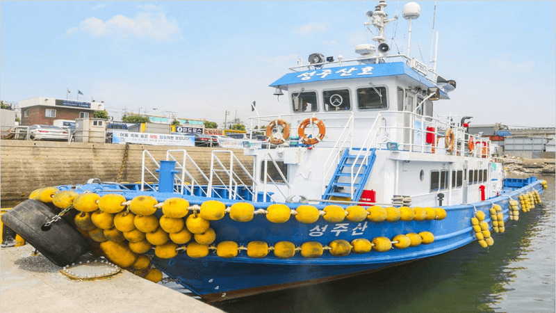 해당 선사를 대표하는 이미지