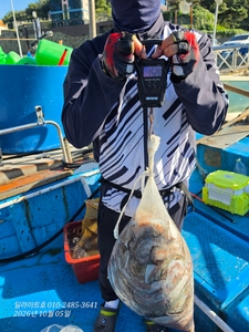 (돌문어) k급 11마리, 1등 42수, 2등 40수, 3등 26수, 4 선상낚시로 잡은 물고기 조황