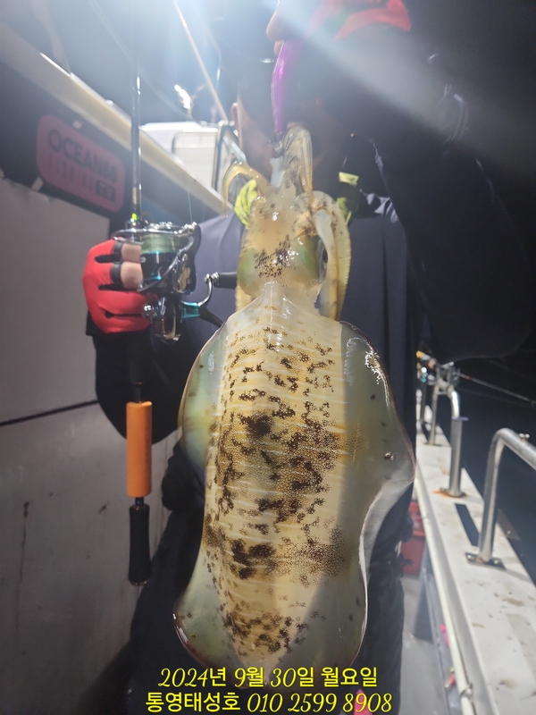 통영태성호의 조황일지 이미지 - 0