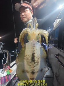 16일(월) 무늬팁런- 6분이 감자는 없이 고구마ㆍ무로 58개 선상낚시로 잡은 물고기 조황