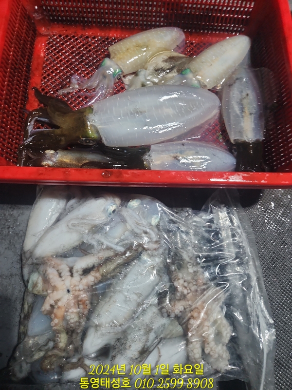 통영태성호의 조황일지 이미지 - 18