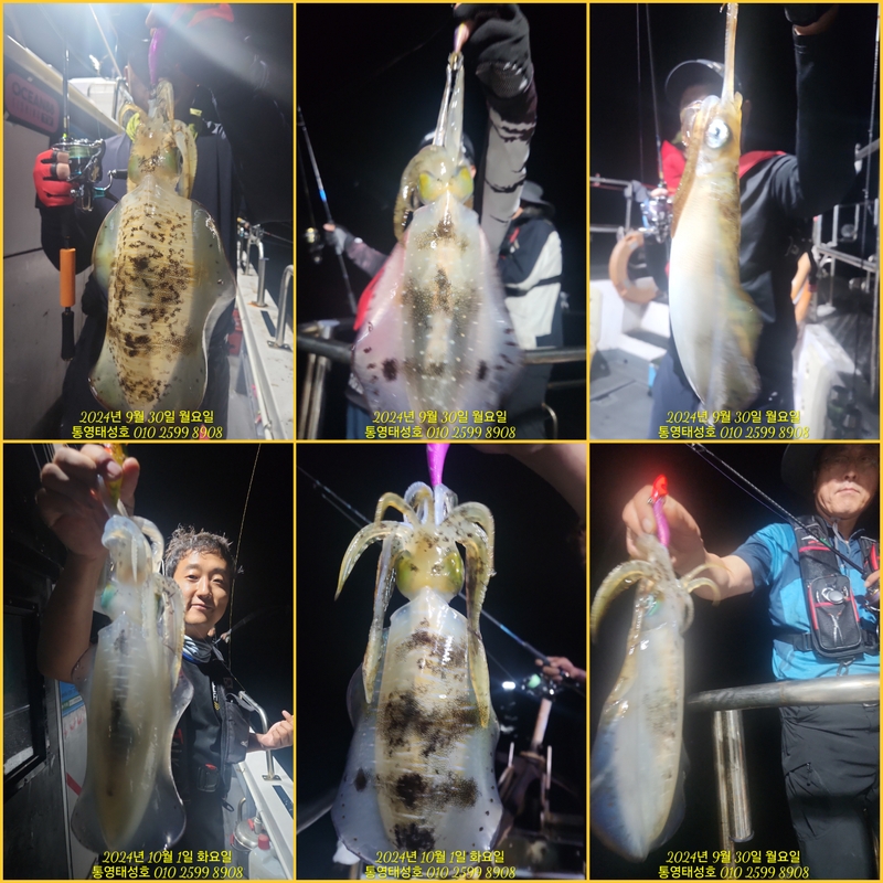 통영태성호의 조황일지 이미지 - 1