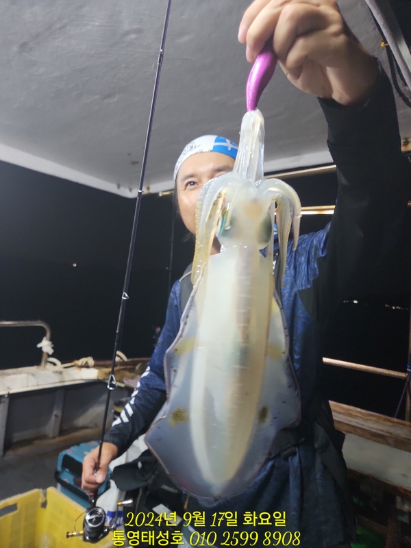 통영태성호의 조황일지 이미지 - 0