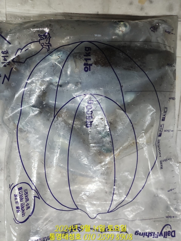 통영태성호의 조황일지 이미지 - 9