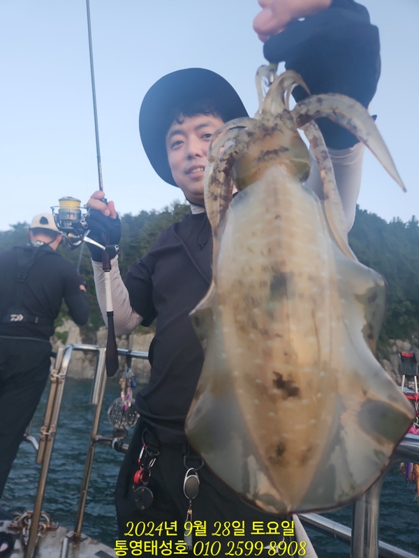 통영태성호의 조황일지 이미지 - 0