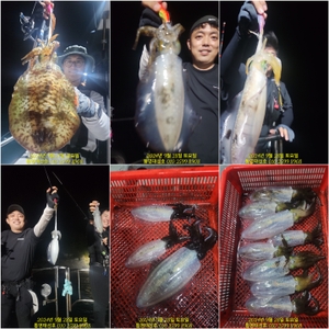 27일(금) 무늬팁런 8분이 세 자릿수 조황 선상낚시로 잡은 물고기 조황