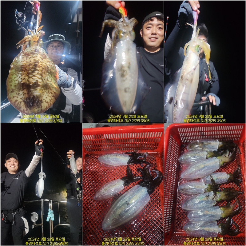 통영태성호의 조황일지 이미지 - 0