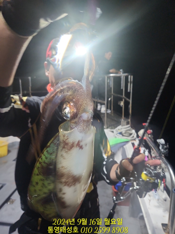 통영태성호의 조황일지 이미지 - 2