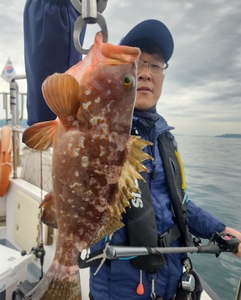 17일(토)부터 붉바리ㆍ농어 외수질 출조합니다 선상낚시로 잡은 물고기 조황