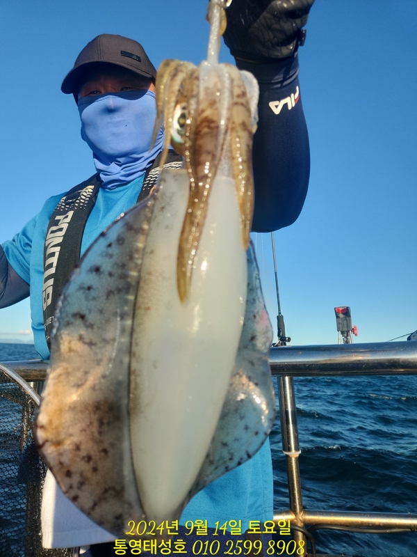 통영태성호의 조황일지 이미지 - 1