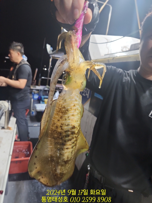 통영태성호의 조황일지 이미지 - 2