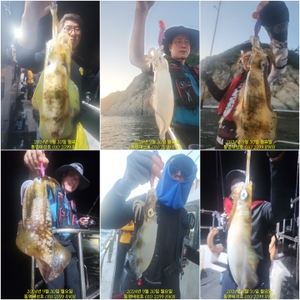 무늬팁런-이제 세자릿수가 기본 선상낚시로 잡은 물고기 조황