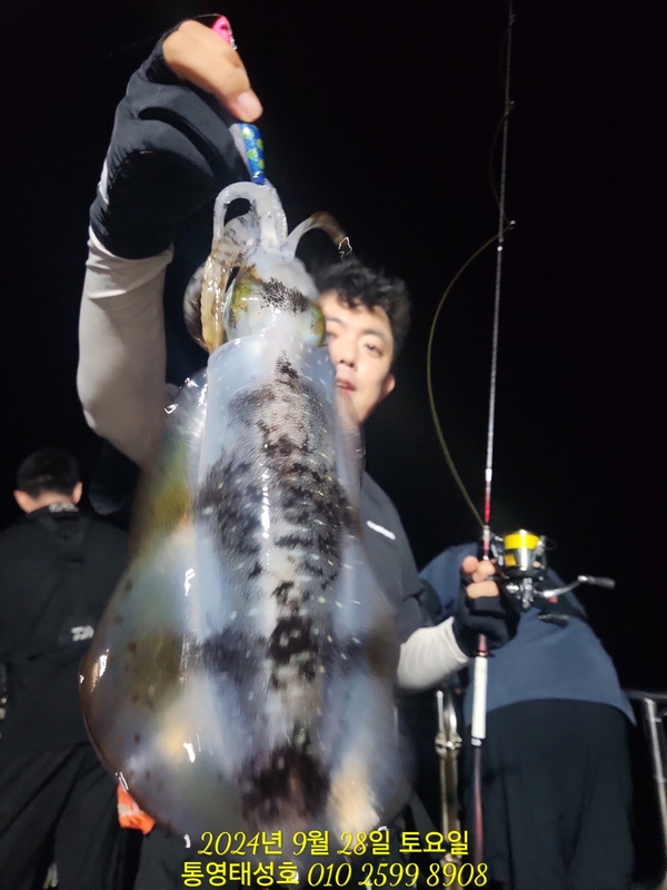 통영태성호의 조황일지 이미지 - 3