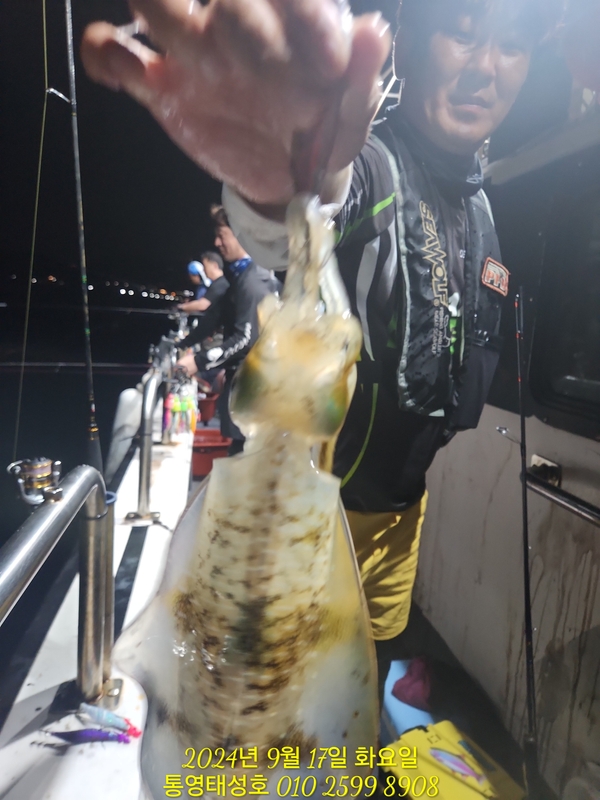 통영태성호의 조황일지 이미지 - 1