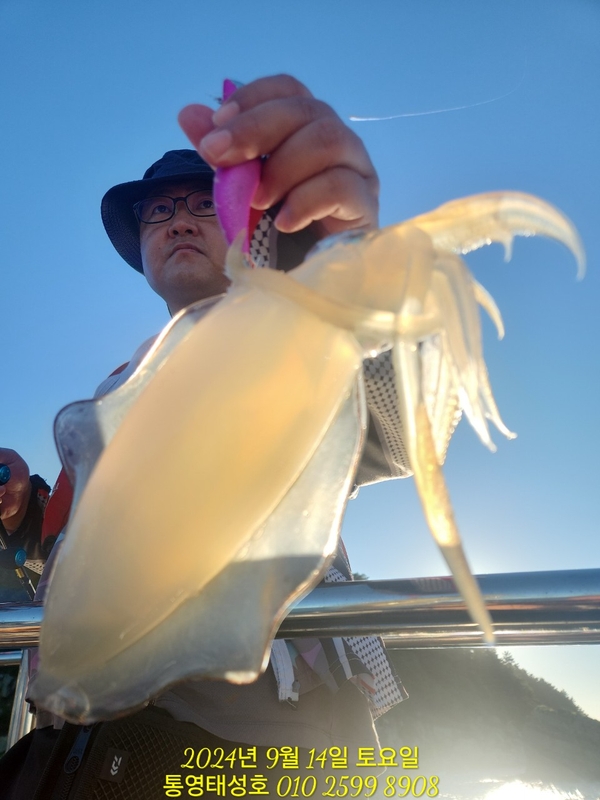 통영태성호의 조황일지 이미지 - 2