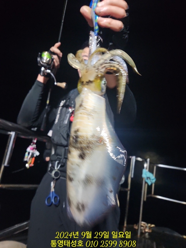 통영태성호의 조황일지 이미지 - 4