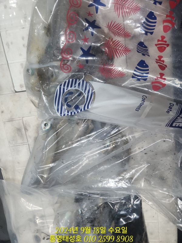 통영태성호의 조황일지 이미지 - 16