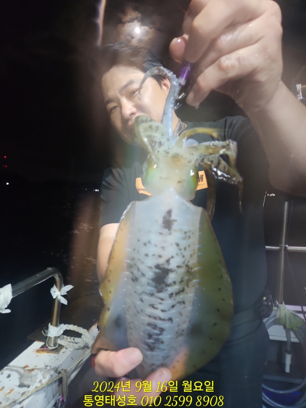 통영태성호의 조황일지 이미지 - 1