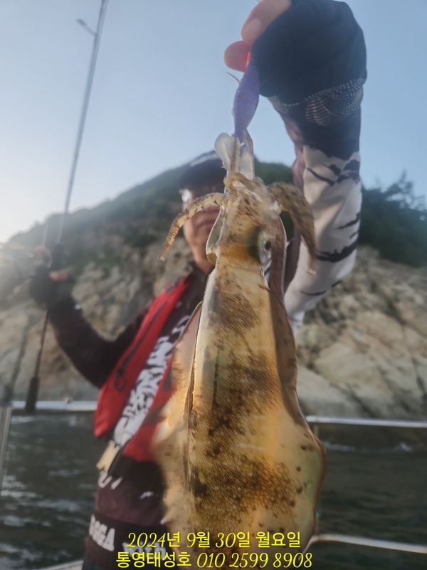 통영태성호의 조황일지 이미지 - 6