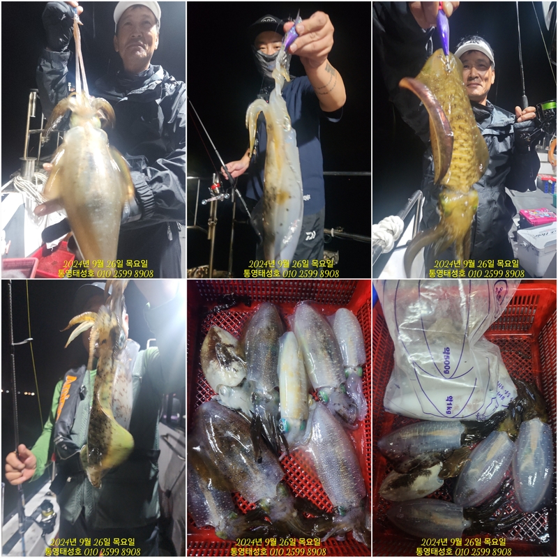 통영태성호의 조황일지 이미지 - 1