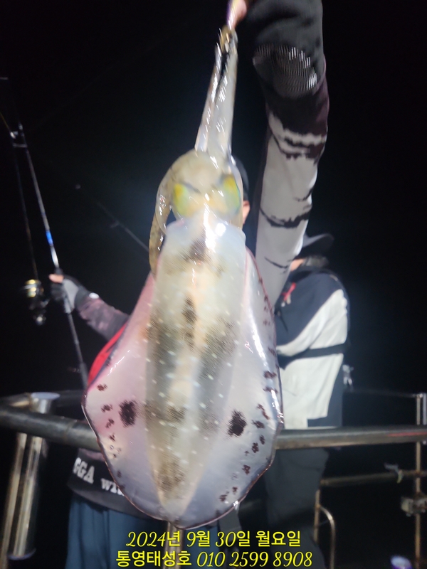 통영태성호의 조황일지 이미지 - 5