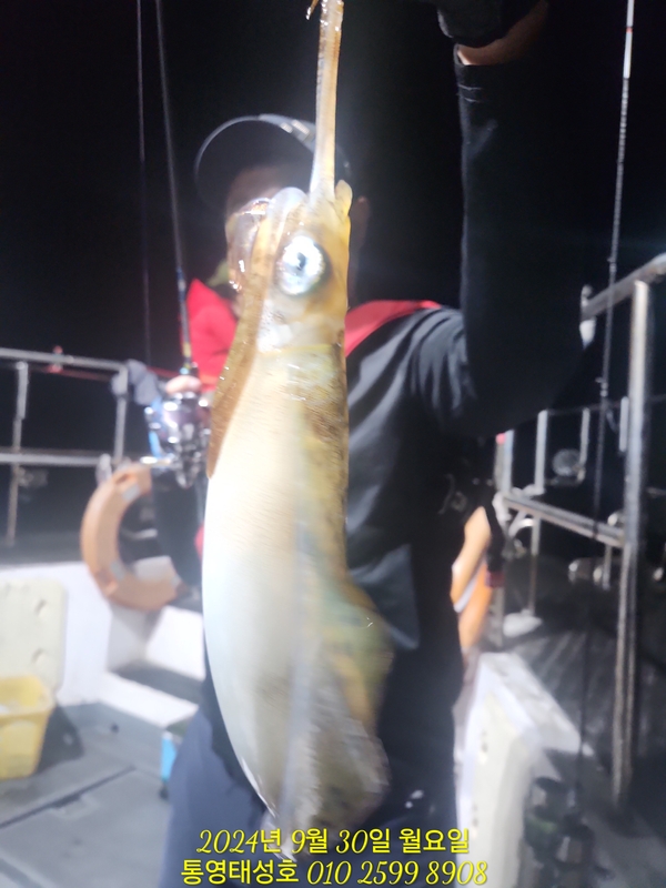 통영태성호의 조황일지 이미지 - 3