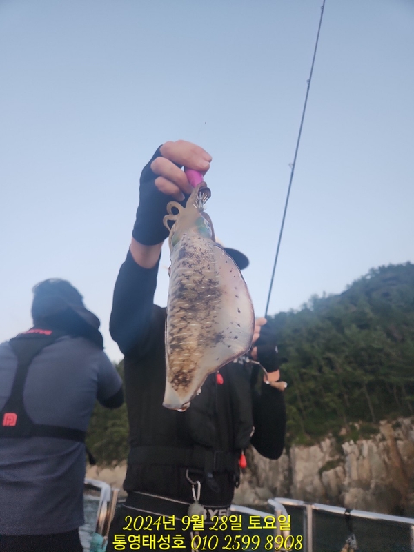 통영태성호의 조황일지 이미지 - 2