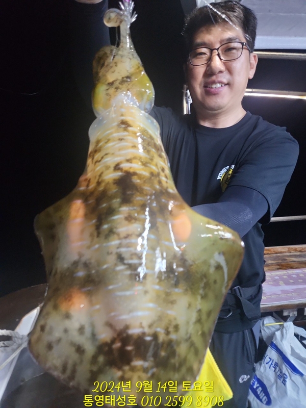 통영태성호의 조황일지 이미지 - 0