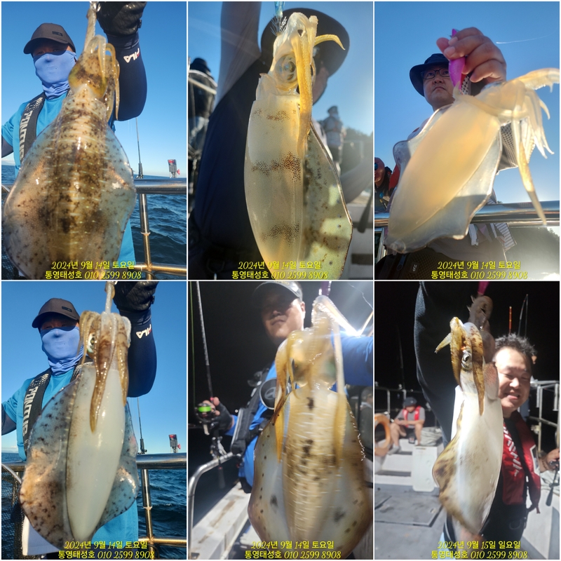 통영태성호의 조황일지 이미지 - 12