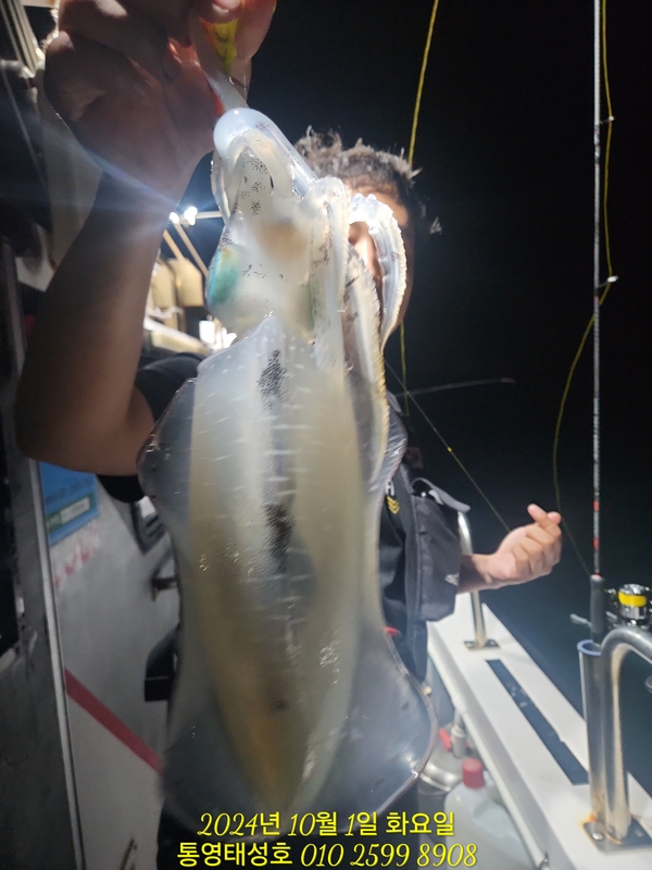 통영태성호의 조황일지 이미지 - 10