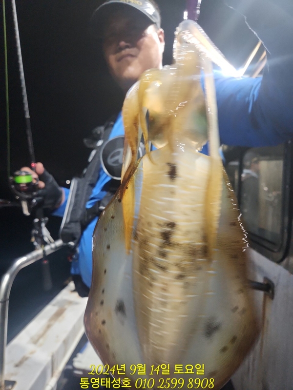 통영태성호의 조황일지 이미지 - 5