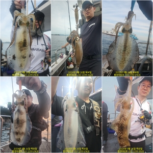 26일(목) 무늬팁런 조황입니다 선상낚시로 잡은 물고기 조황